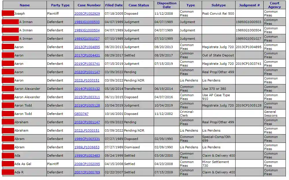 List of inmates from the result of a Charleston County Circuit Court Public Index inmate search, which includes the inmate's full name, party type, case number, filed date, case status, and other information about the case.