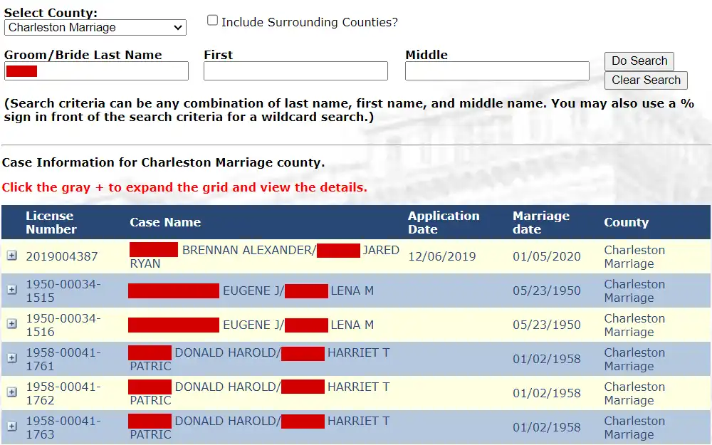 A screenshot of results of the marriage search in Charleston county from South Carolina Probate Court, displaying the names of both parties, license number, application date, marriage date, and county.
